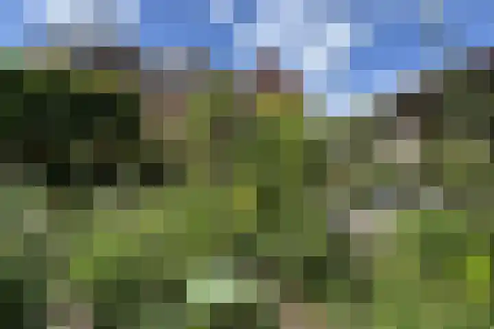 Markt 30 Standdaarbuiten thumbnail 63
