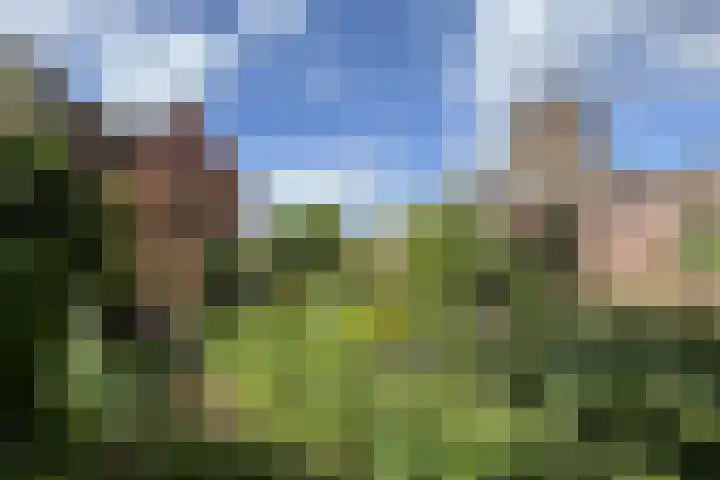 Markt 30 Standdaarbuiten thumbnail 64