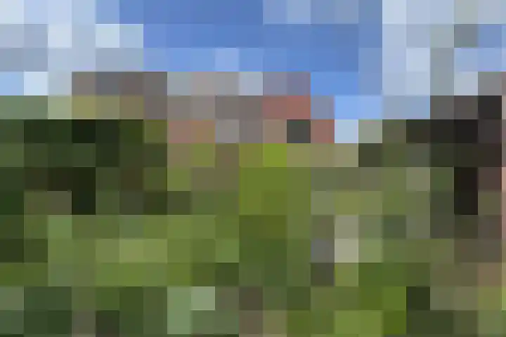 Markt 30 Standdaarbuiten thumbnail 65