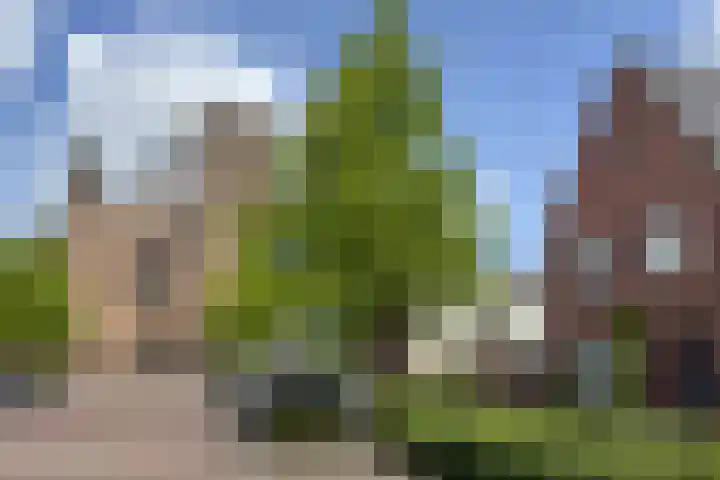 Markt 30 Standdaarbuiten thumbnail 72