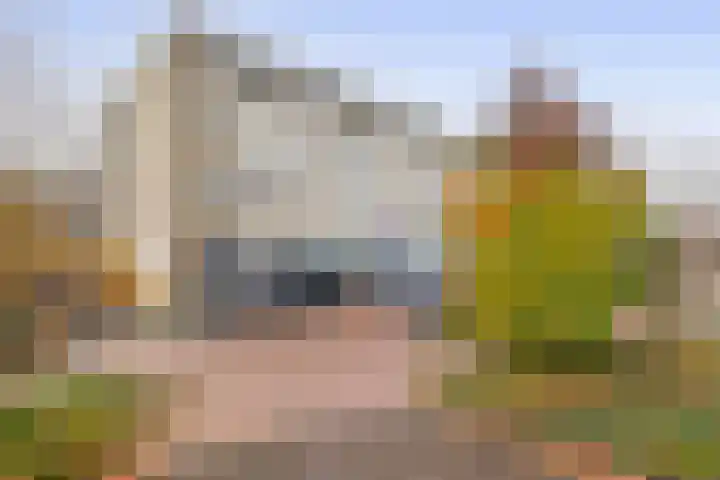 Markt 33 Drachten thumbnail 5