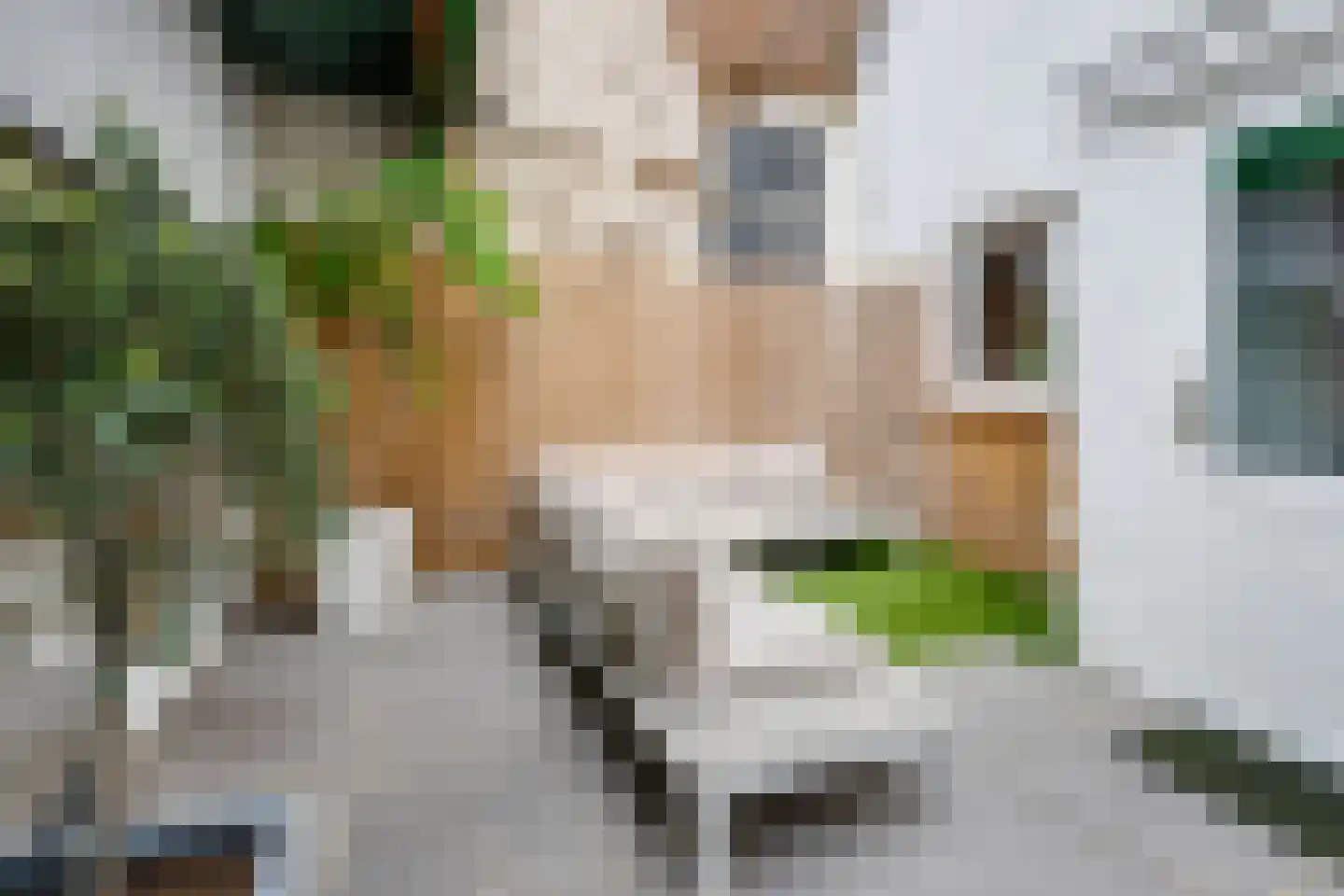 Markt 33 Oudenbosch thumbnail 24