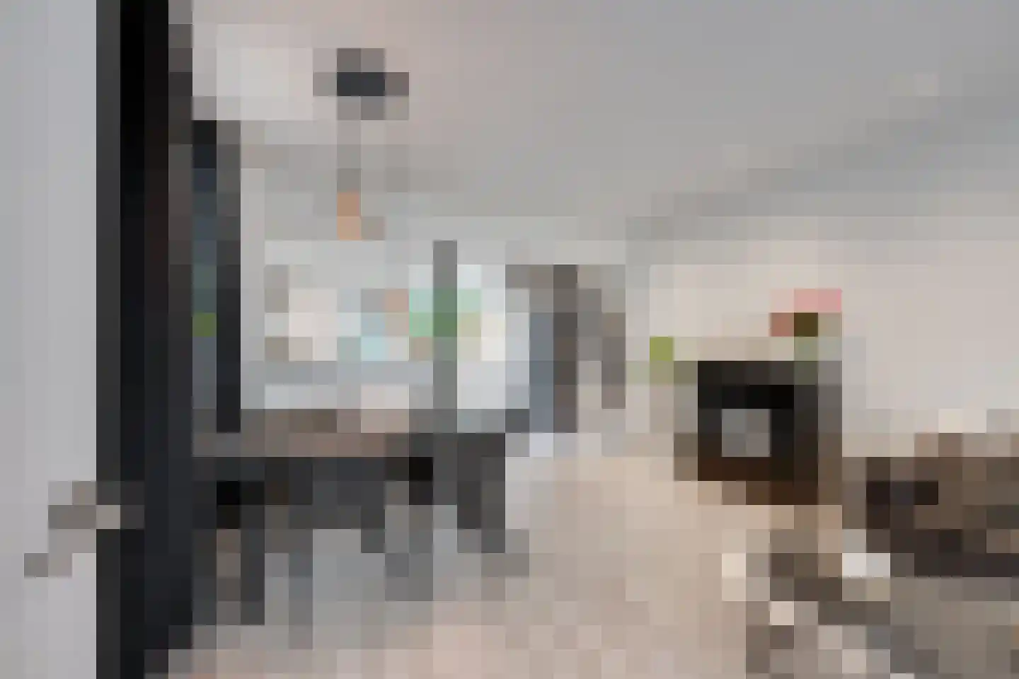 Markt 33 Oudenbosch thumbnail 7