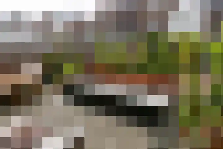 Markt 35 1 Arnhem thumbnail 19