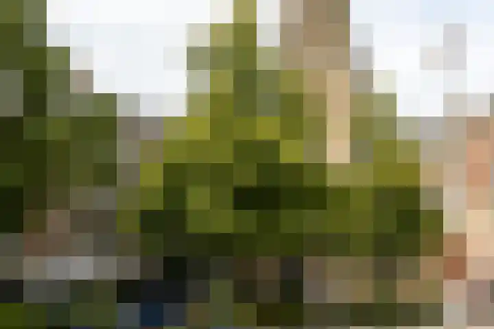 Markt 35 1 Arnhem thumbnail 26