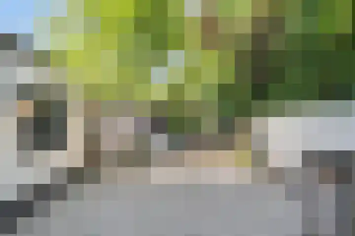 Markt 35 Prinsenbeek thumbnail 5
