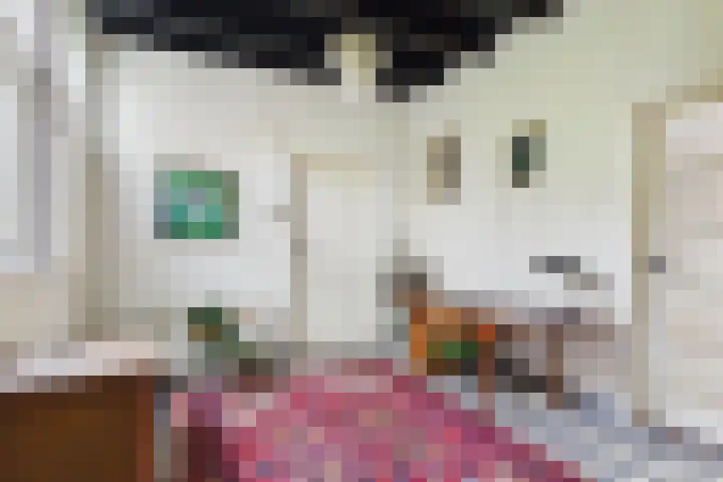 Markt 4 Biervliet thumbnail 14