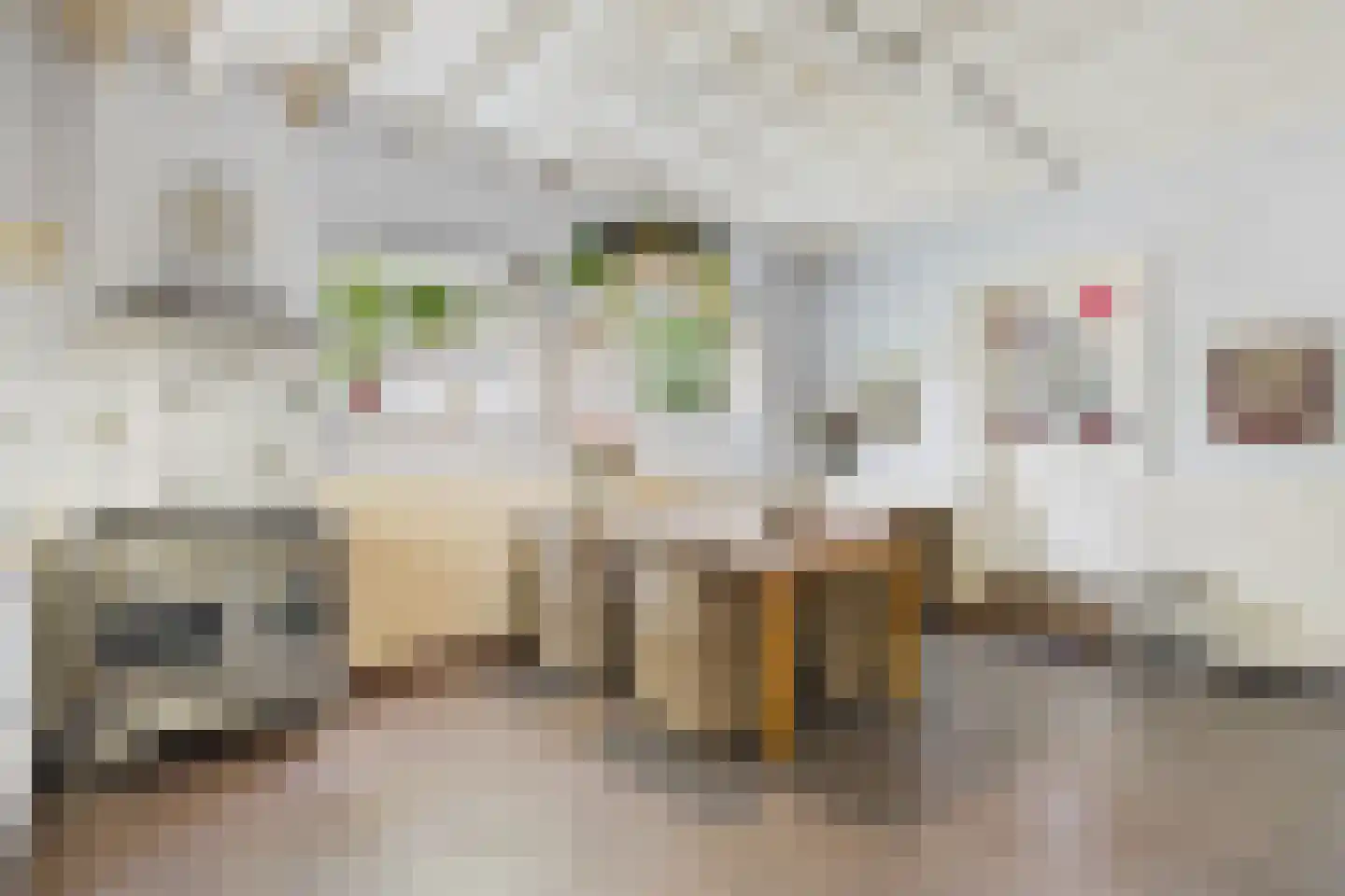 Markt 4 Biervliet thumbnail 15