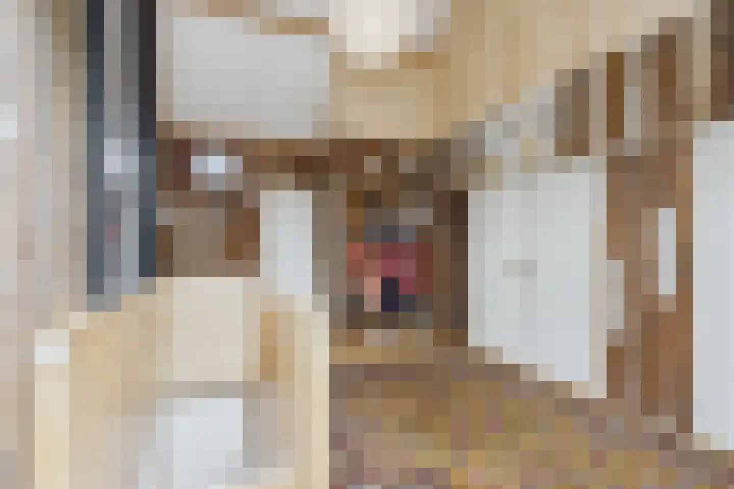 Markt 4 Biervliet thumbnail 26