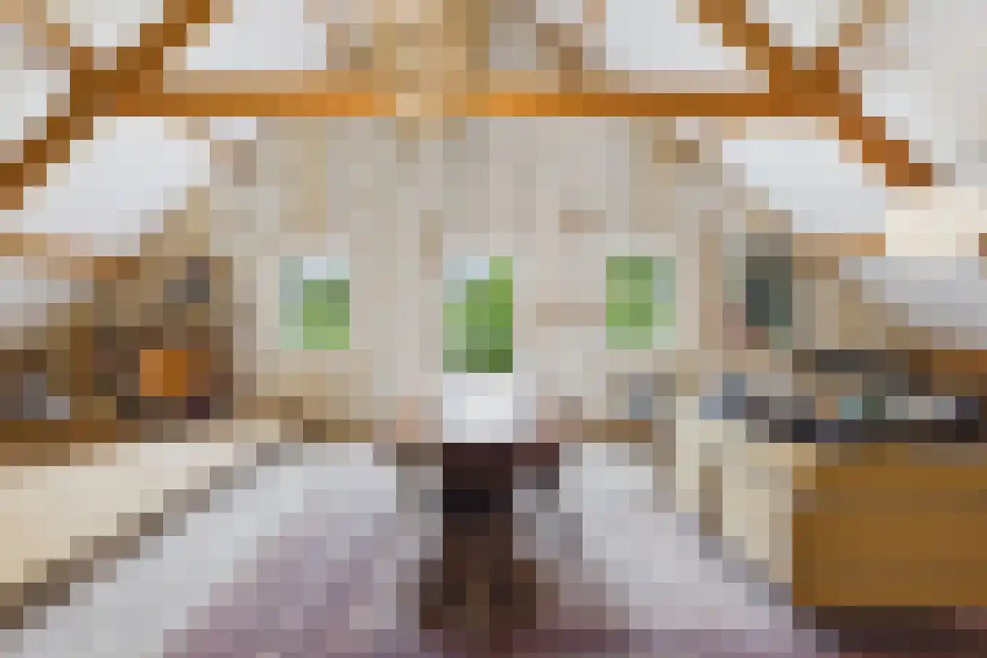 Markt 4 Biervliet thumbnail 33
