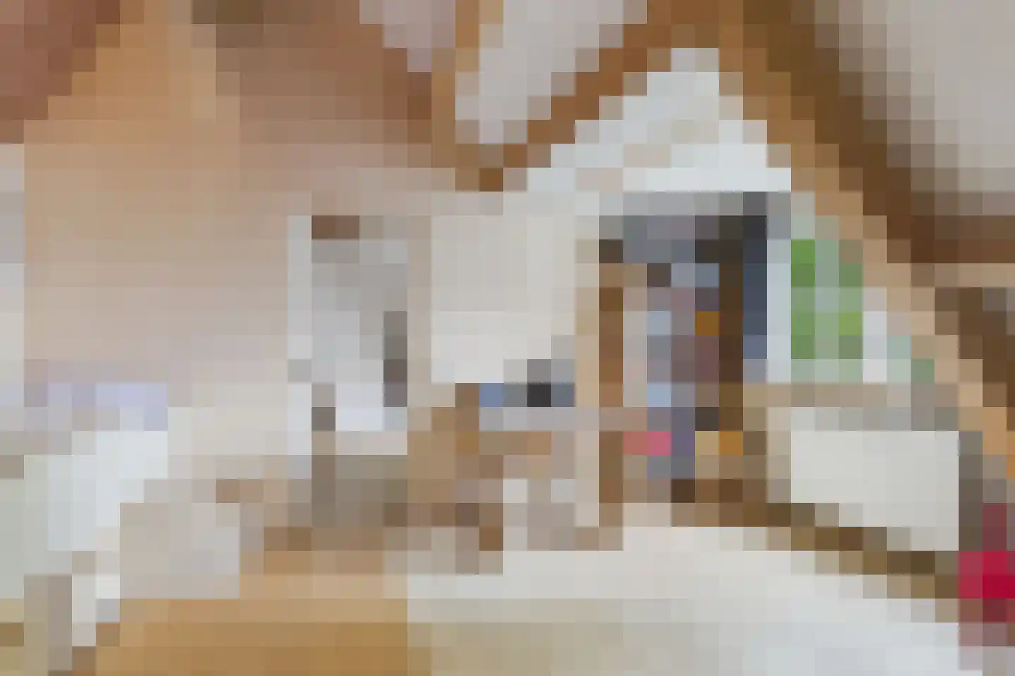 Markt 4 Biervliet thumbnail 44