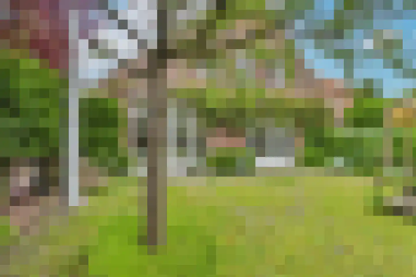 Markt 4 Biervliet thumbnail 46