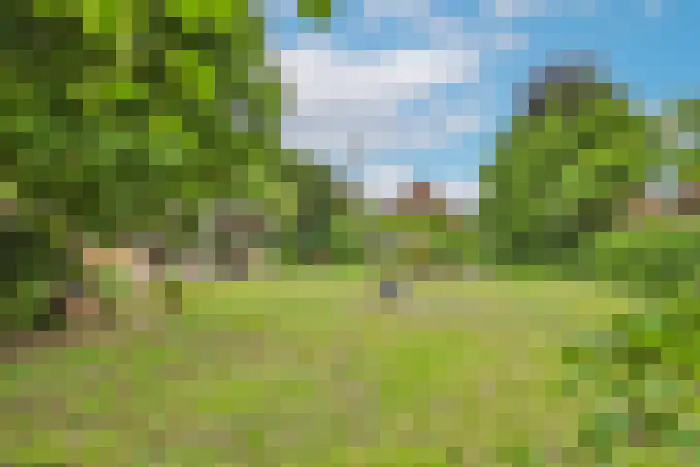 Markt 4 Biervliet thumbnail 47