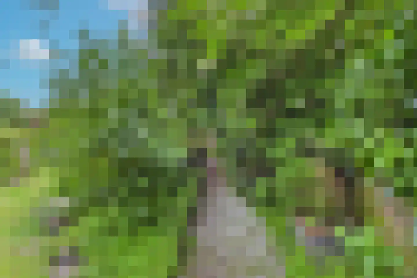 Markt 4 Biervliet thumbnail 48