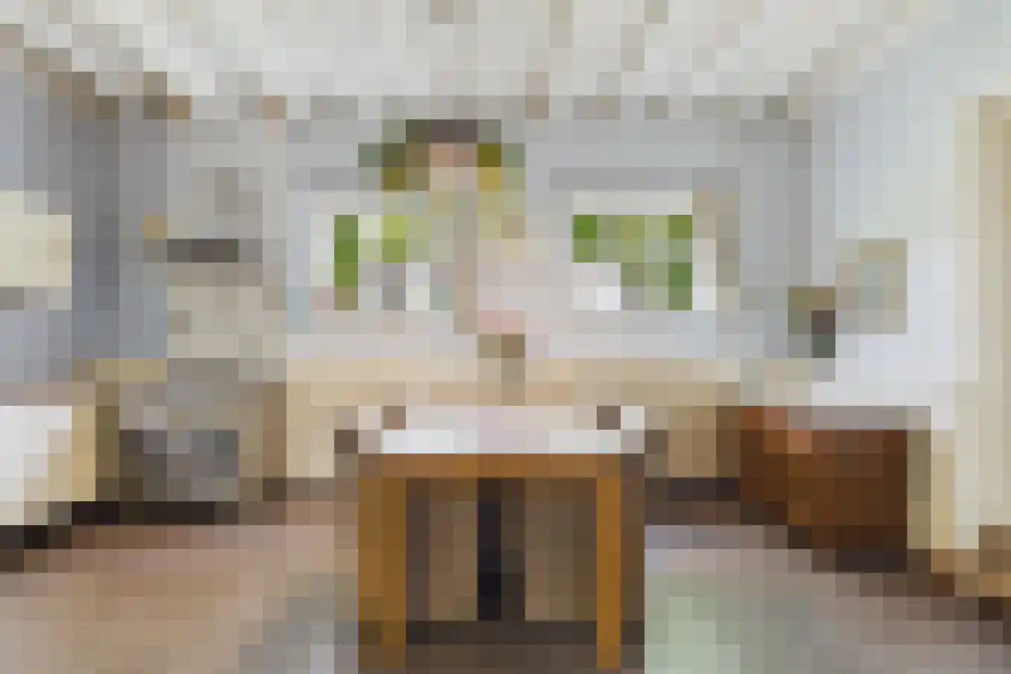 Markt 4 Biervliet thumbnail 5
