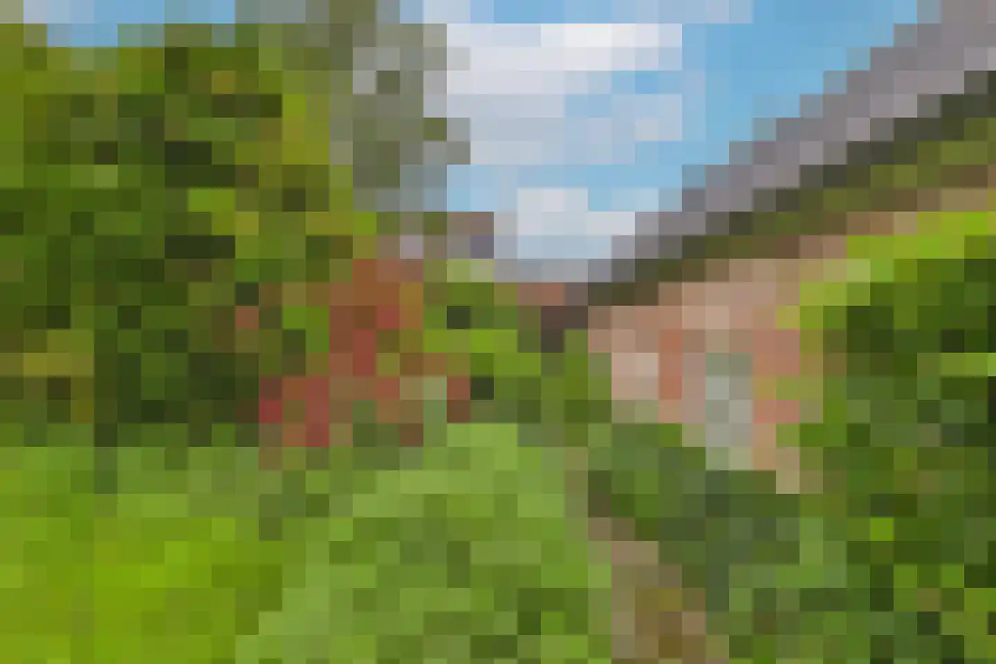 Markt 4 Biervliet thumbnail 52