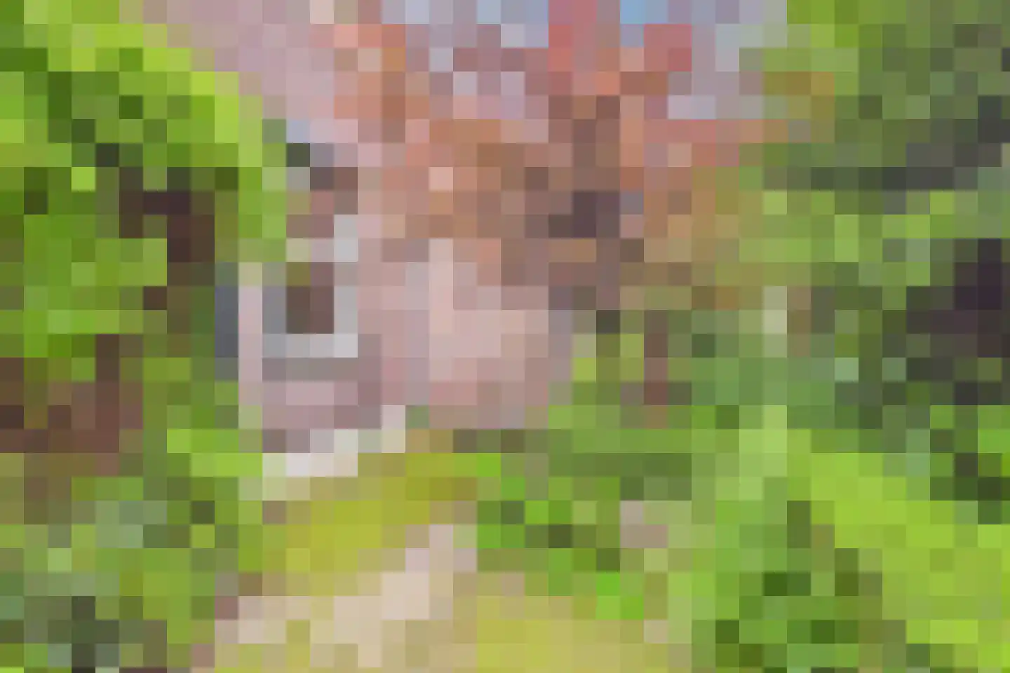 Markt 4 Biervliet thumbnail 54