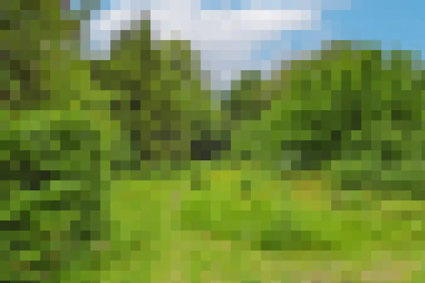 Markt 4 Biervliet thumbnail 55