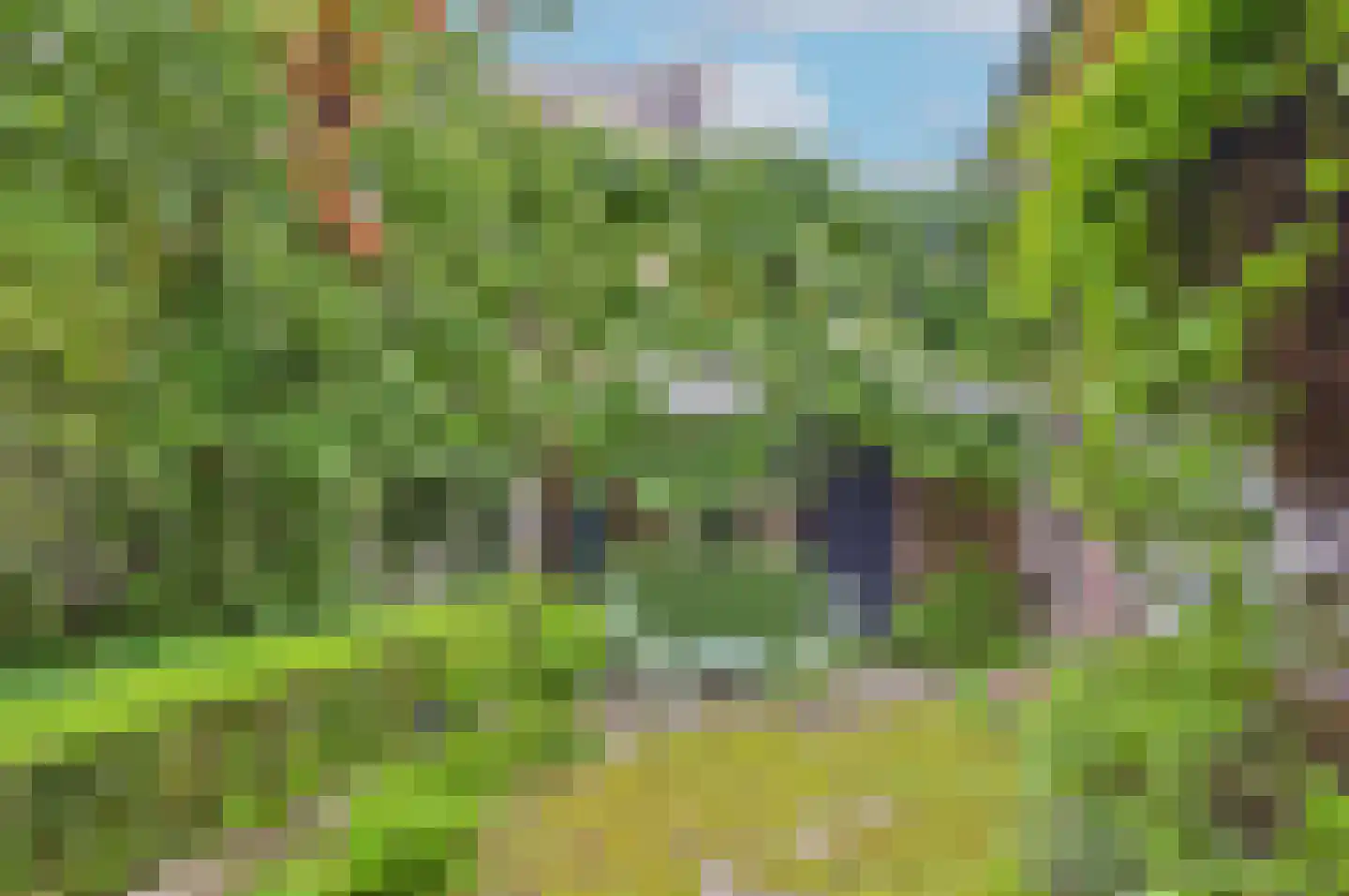 Markt 4 Biervliet thumbnail 6