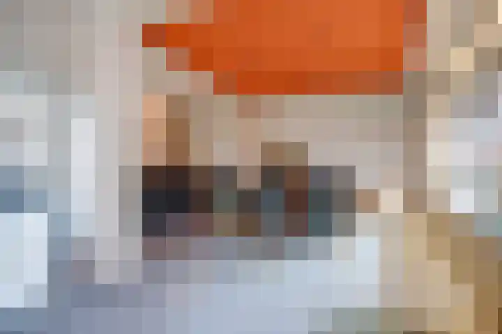 Markt 4 Oosterland thumbnail 18