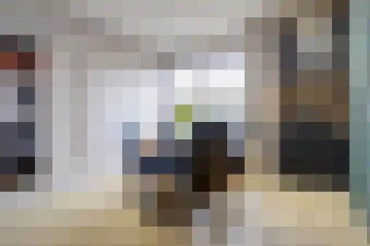 Markt 4 Oosterland thumbnail 26