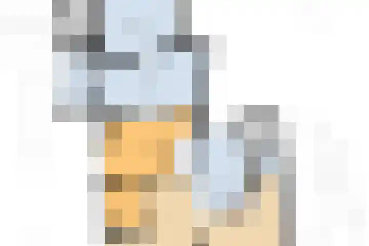Markt 4 Oosterland thumbnail 51