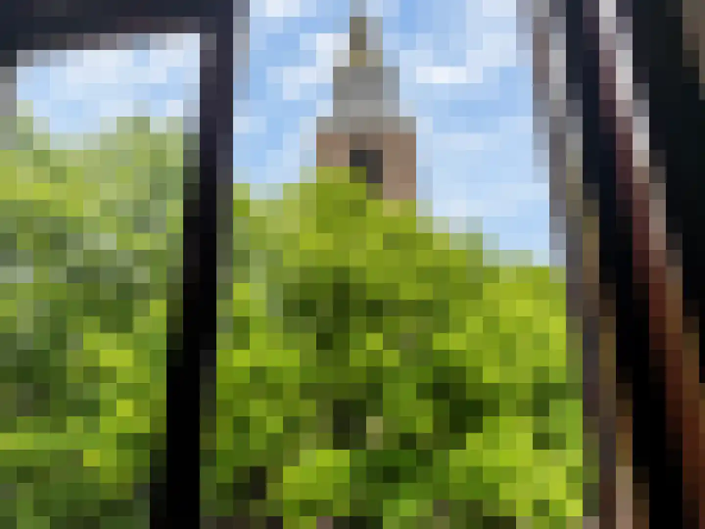 Markt 4 Vlaardingen thumbnail 13
