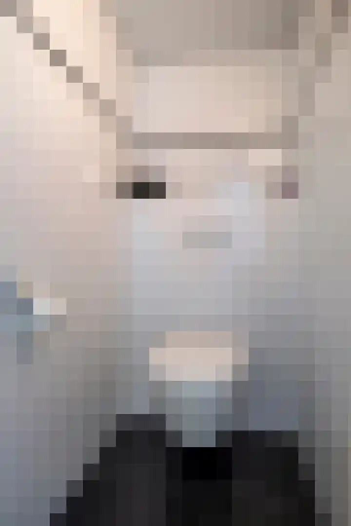 Markt 41 Bladel thumbnail 17