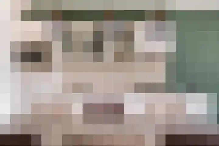 Markt 41 Bladel thumbnail 20