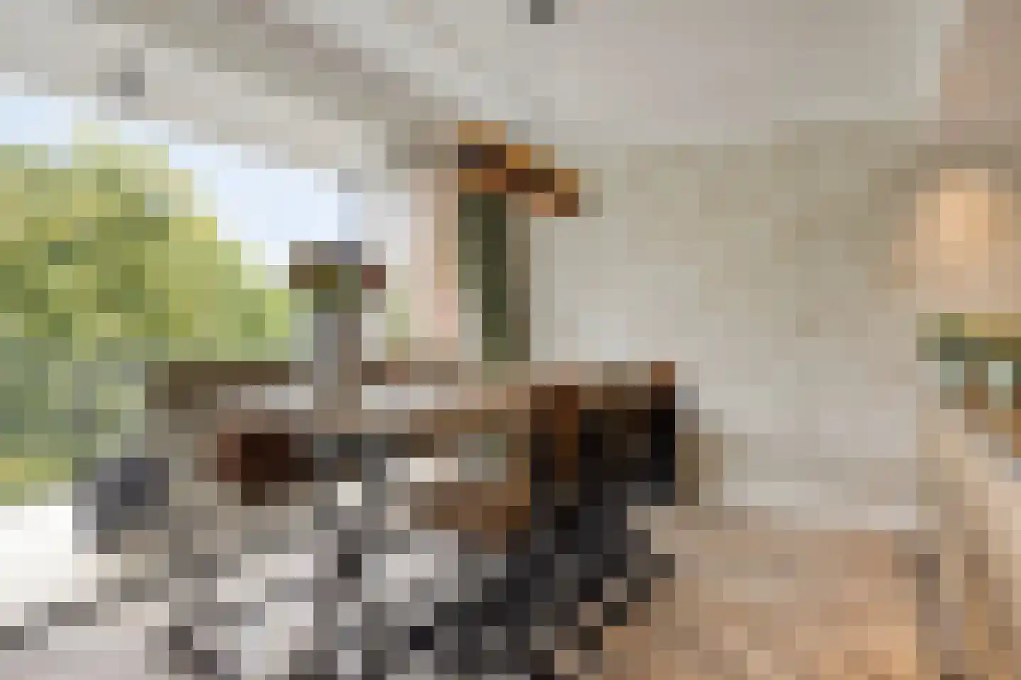 Markt 42 Geertruidenberg thumbnail 27
