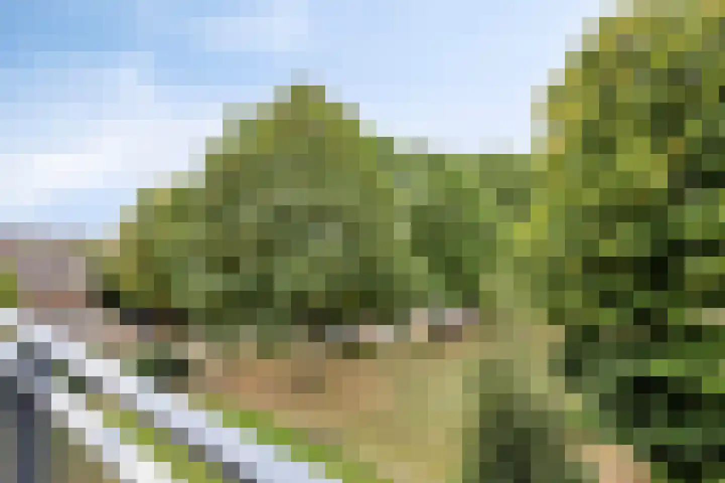 Markt 42 Geertruidenberg thumbnail 33