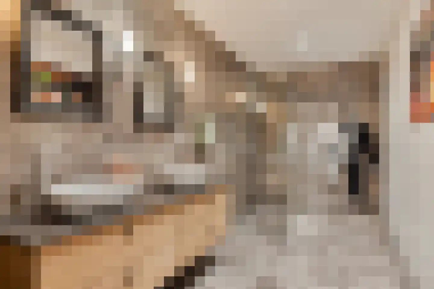 Markt 42 Geertruidenberg thumbnail 43