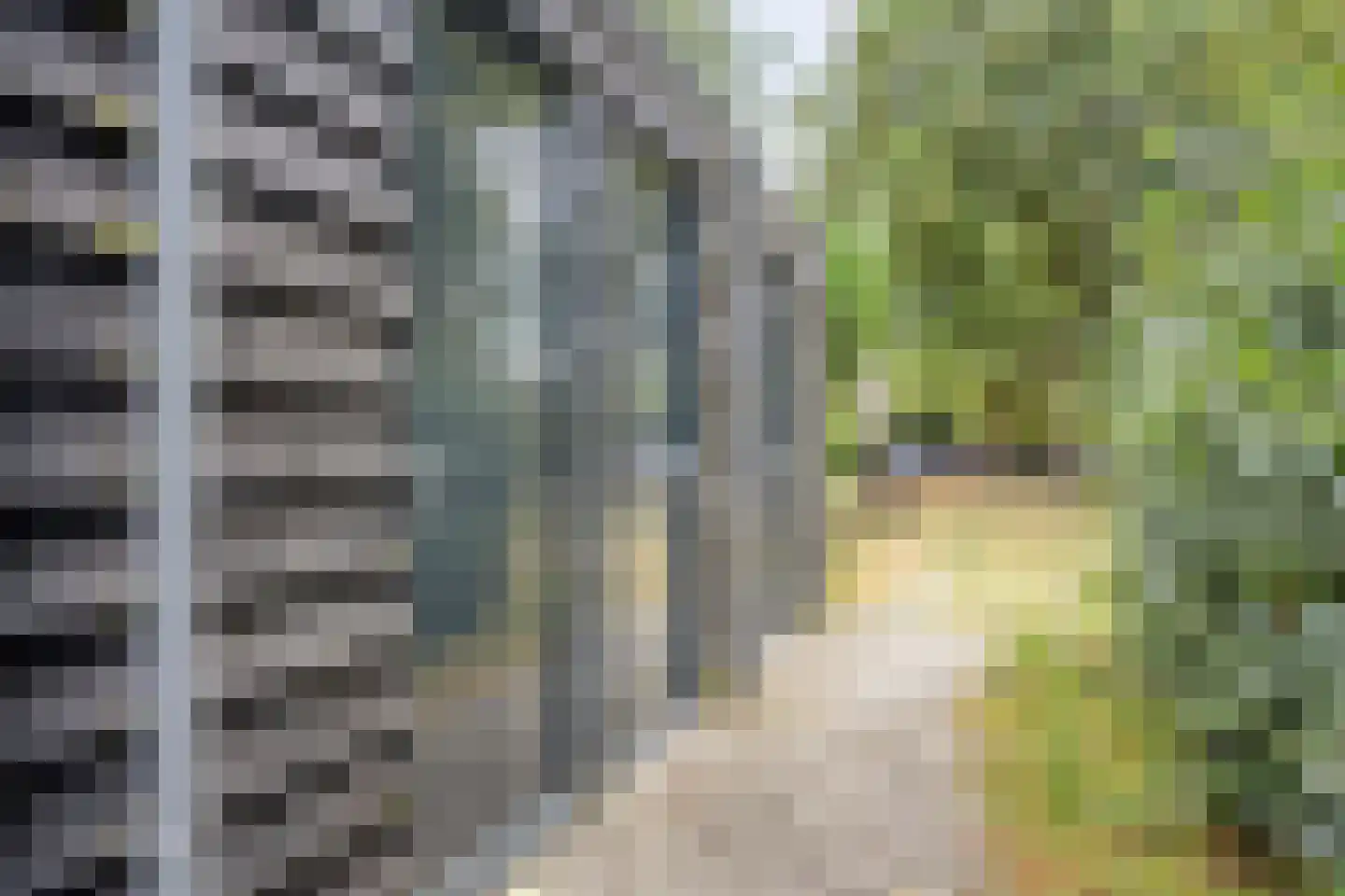 Markt 42 Geertruidenberg thumbnail 48