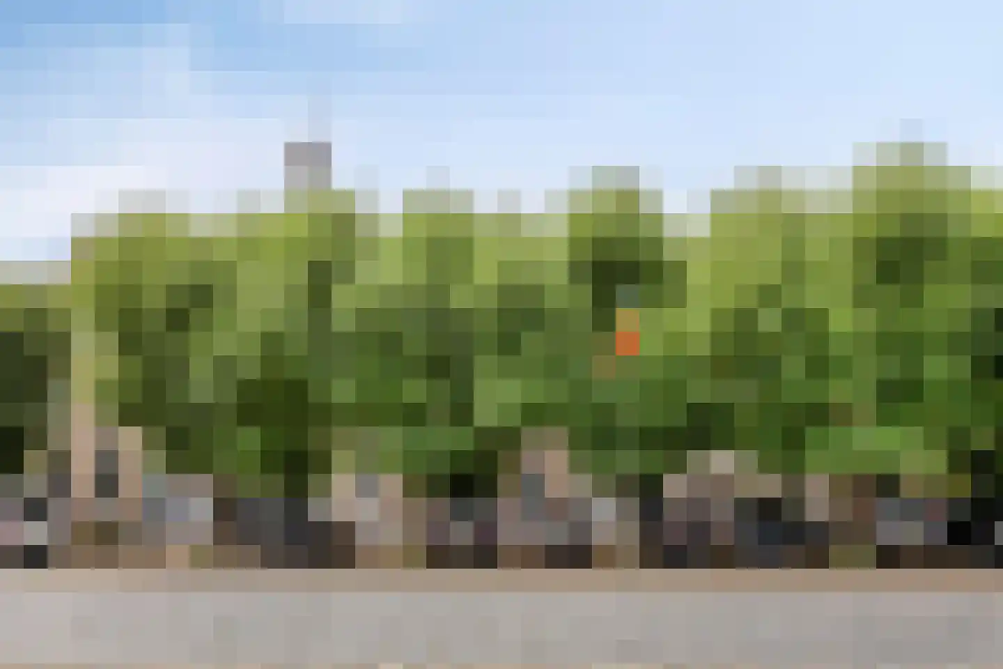 Markt 42 Geertruidenberg thumbnail 56