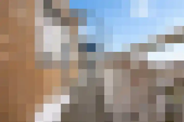 Markt 429 Nieuwegein thumbnail 7