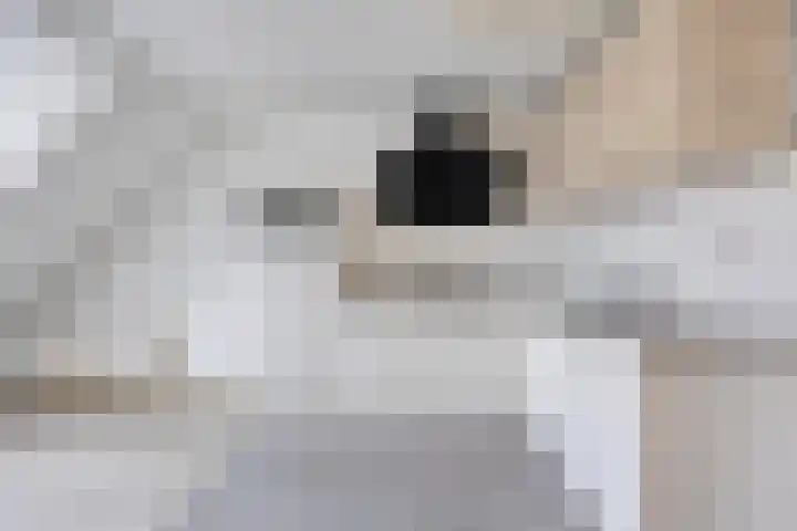 Markt 44 A Hapert thumbnail 10