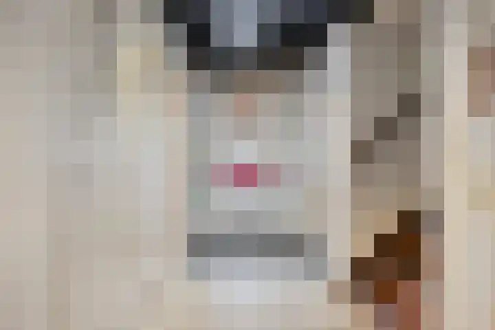 Markt 44 A Hapert thumbnail 4