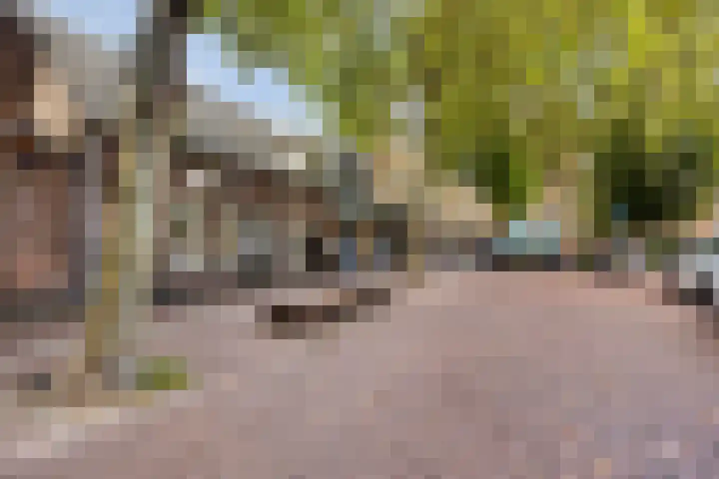 Markt 46 Rosmalen thumbnail 30