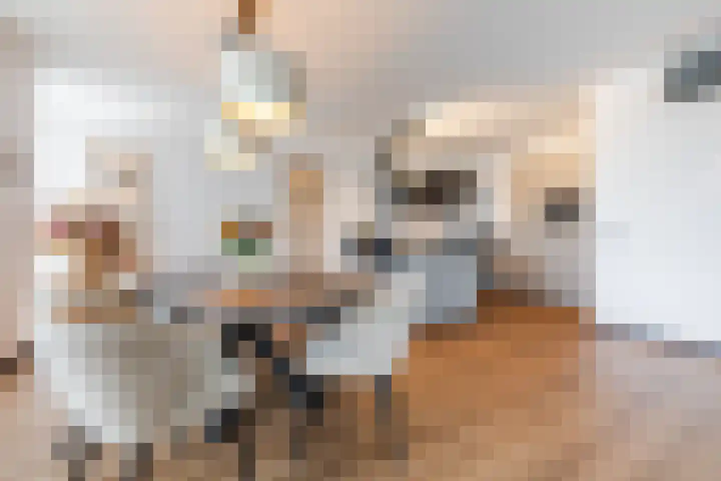 Markt 46 Valkenswaard thumbnail 17