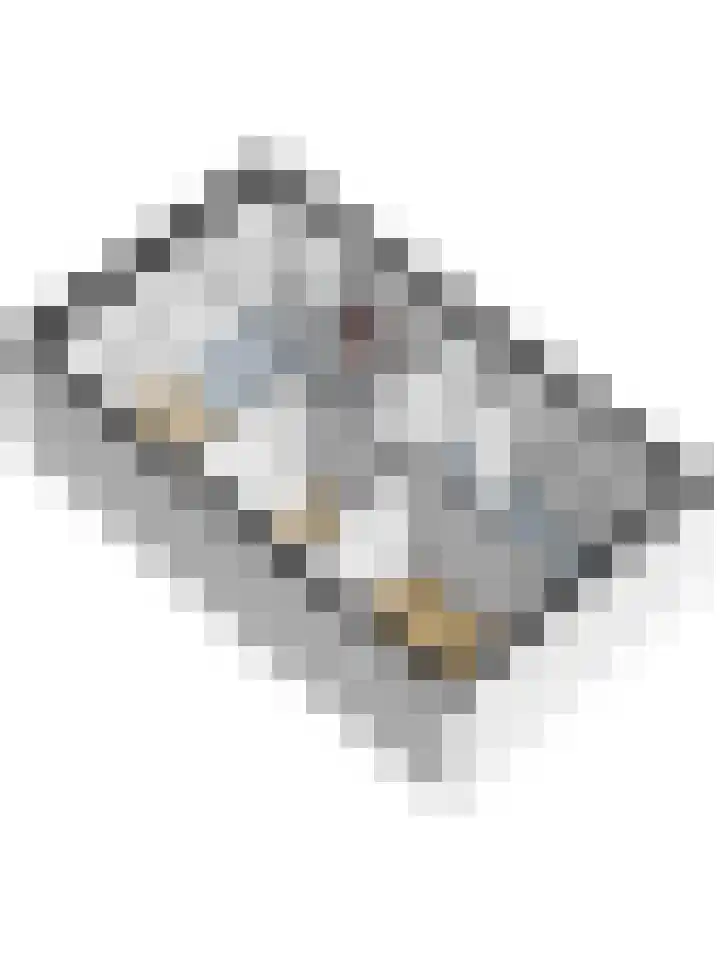 Markt 47 a Sint-Maartensdijk thumbnail 23