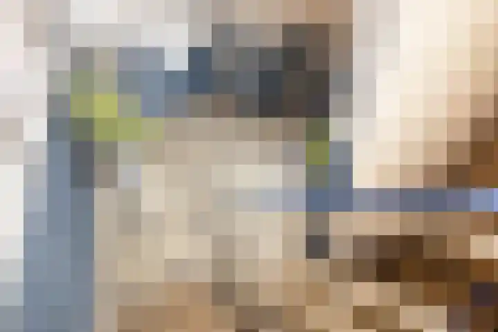 Markt 49 Hoensbroek thumbnail 10