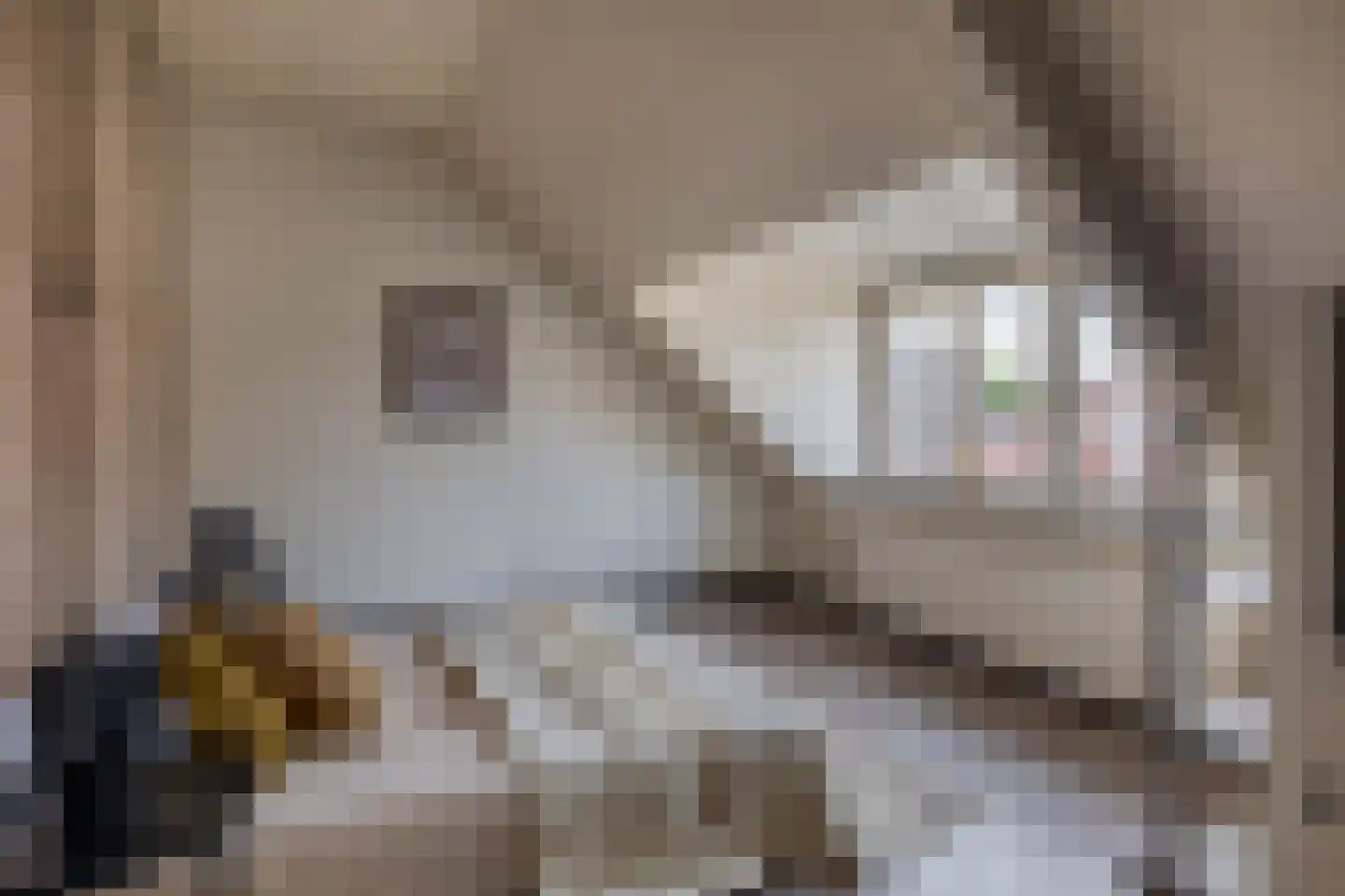 Markt 5 A Schijndel thumbnail 26