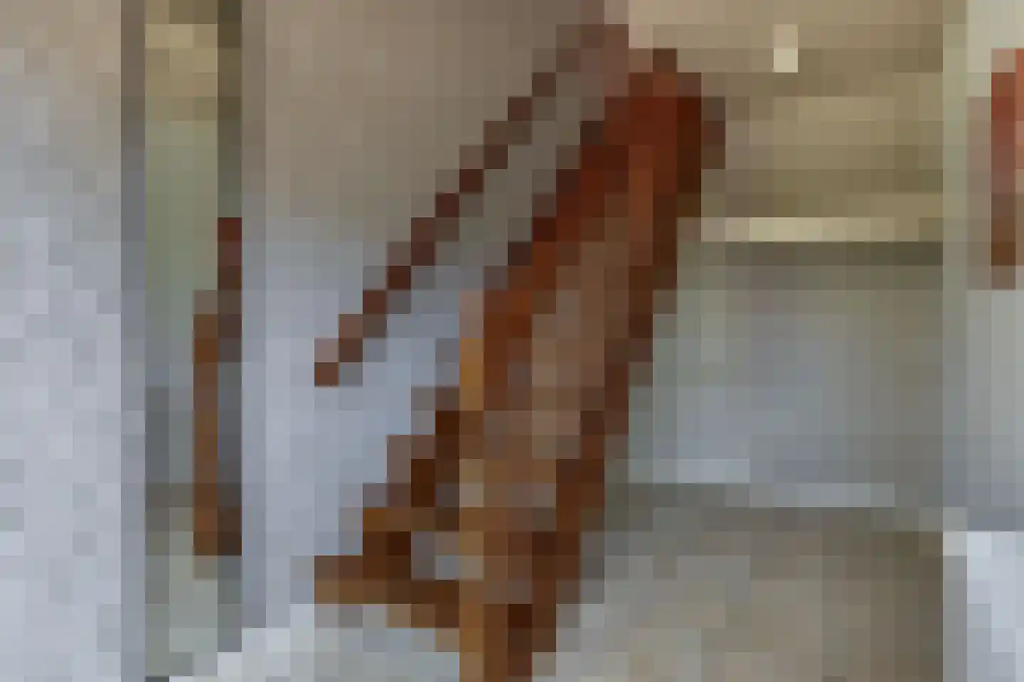 Markt 5 A Schijndel thumbnail 29