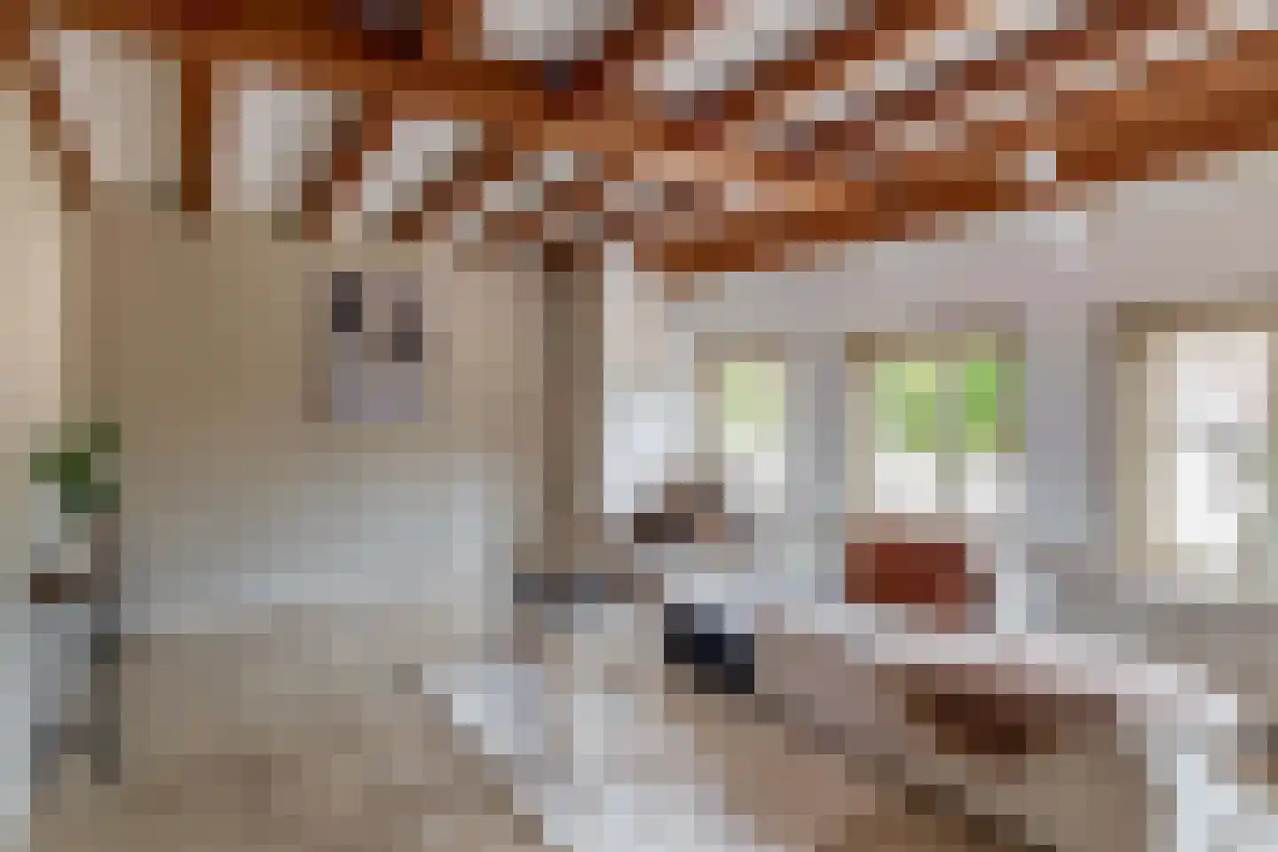 Markt 5 A Schijndel thumbnail 6