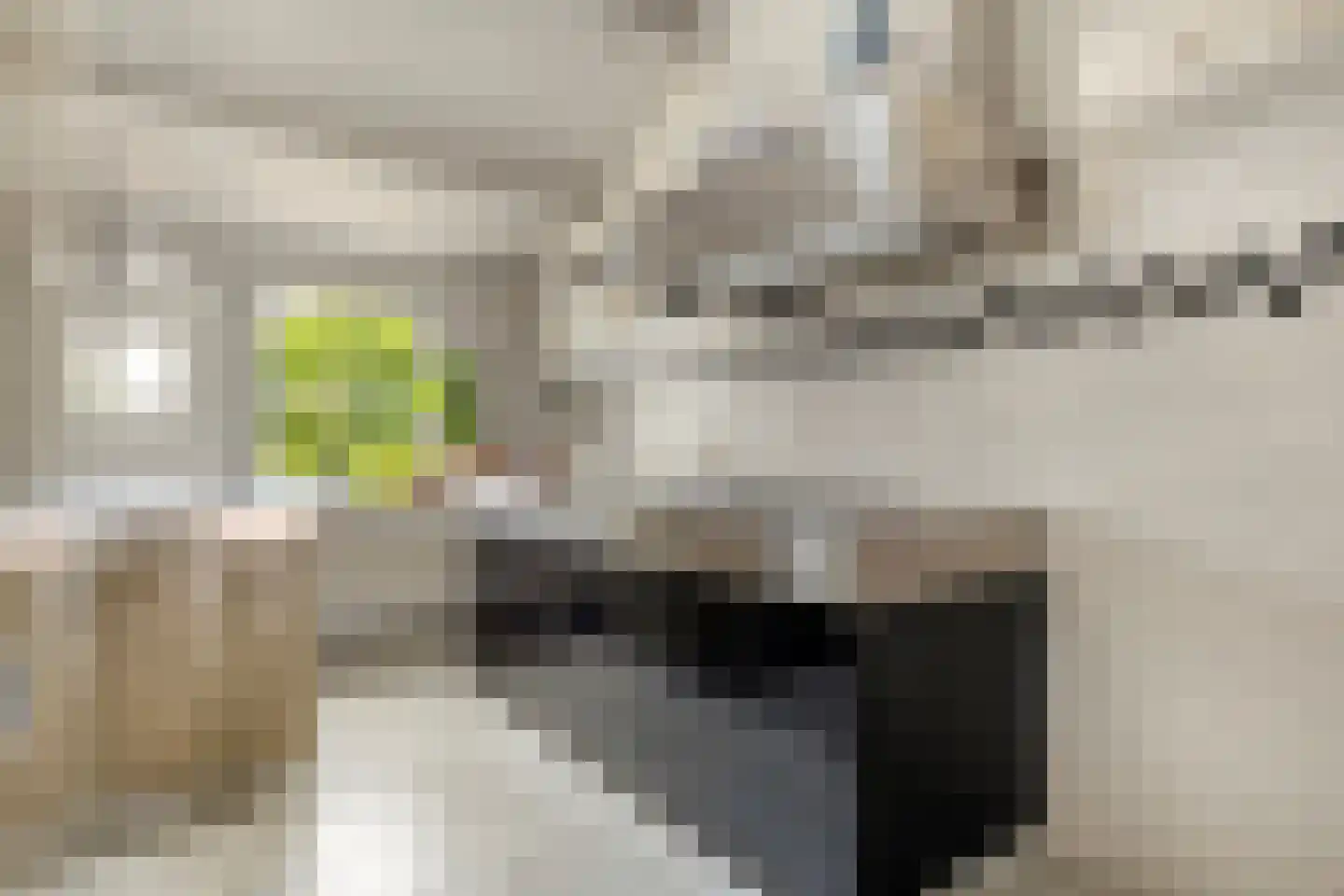 Markt 5 Brouwershaven thumbnail 10