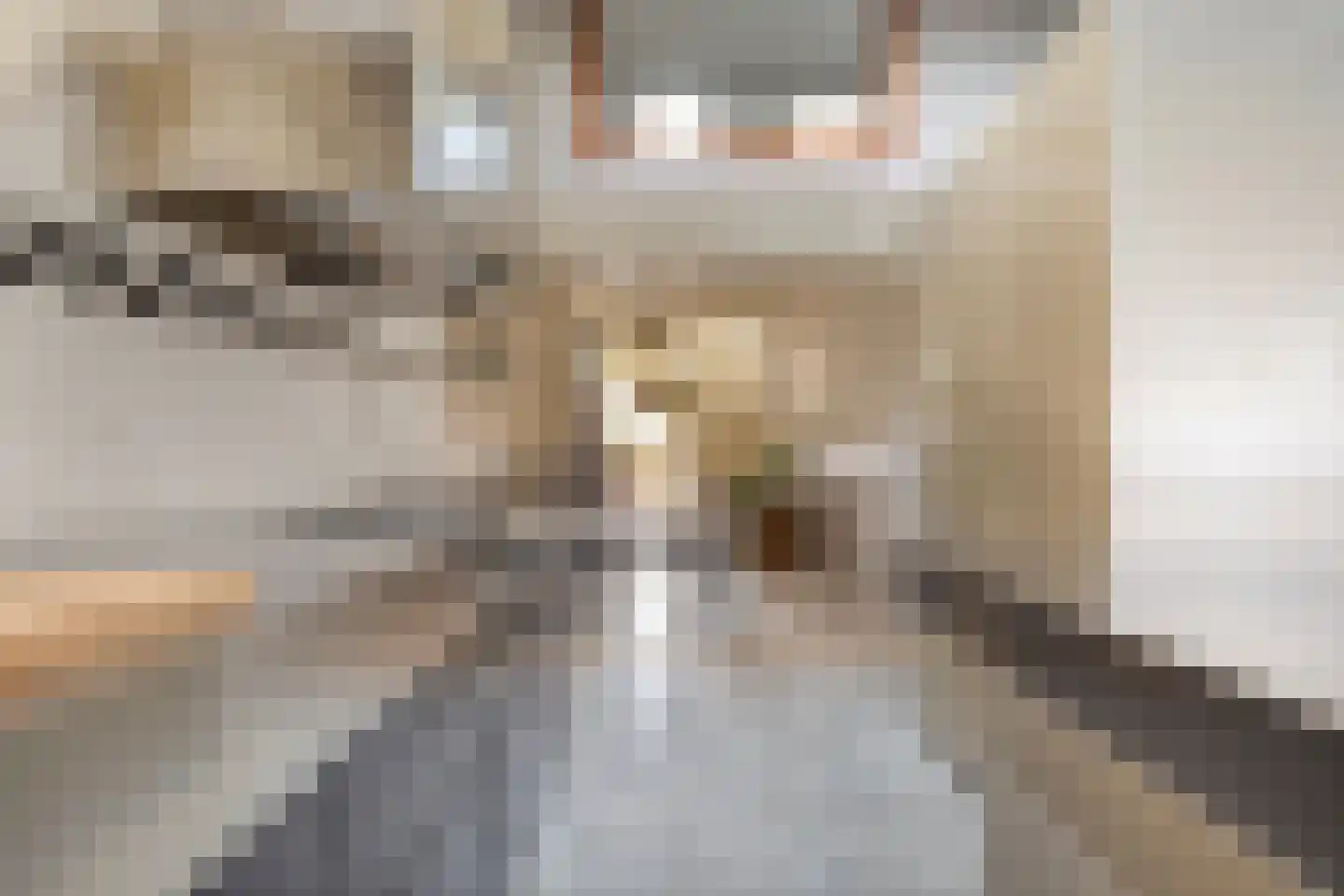 Markt 5 Brouwershaven thumbnail 11
