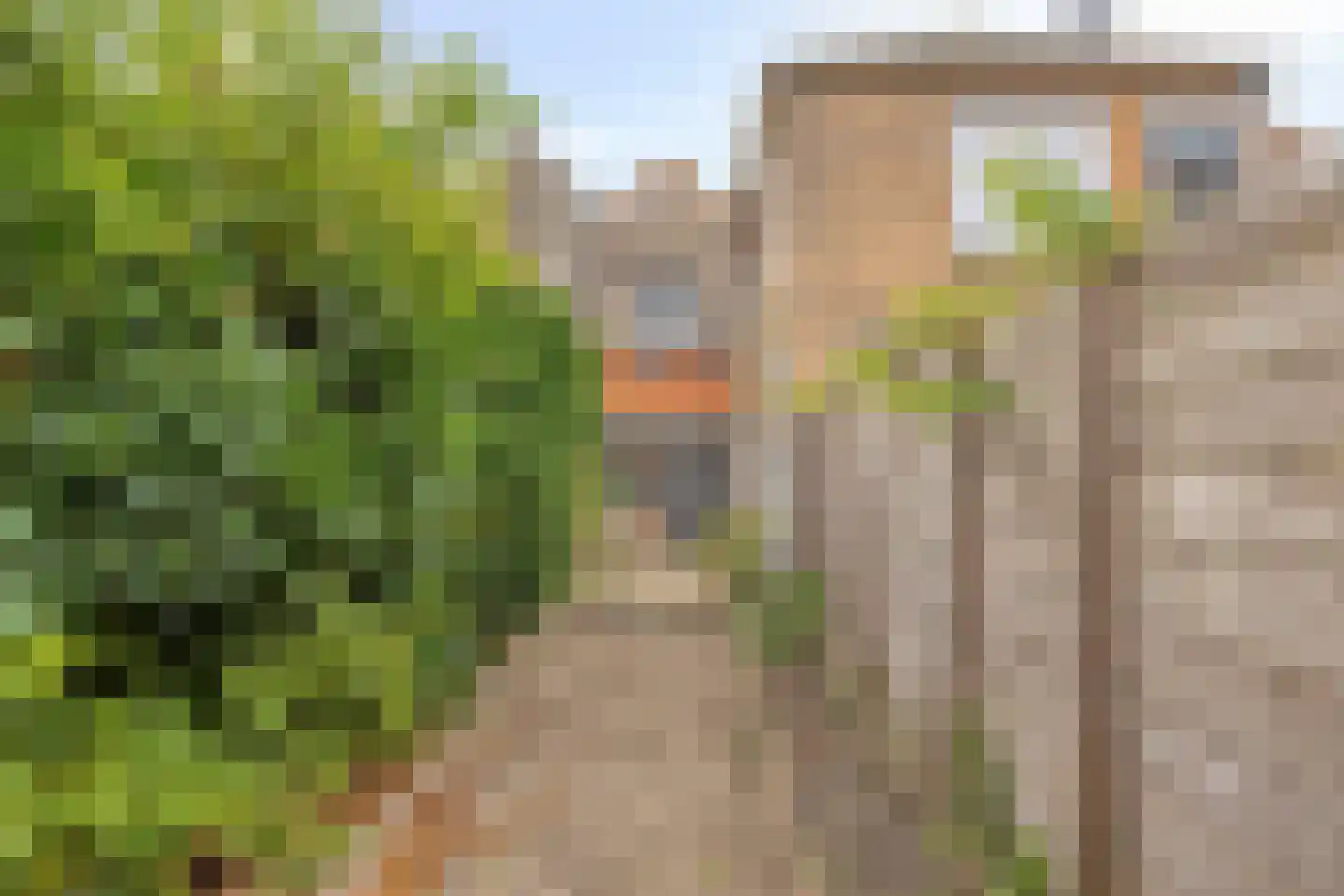 Markt 5 Brouwershaven thumbnail 25
