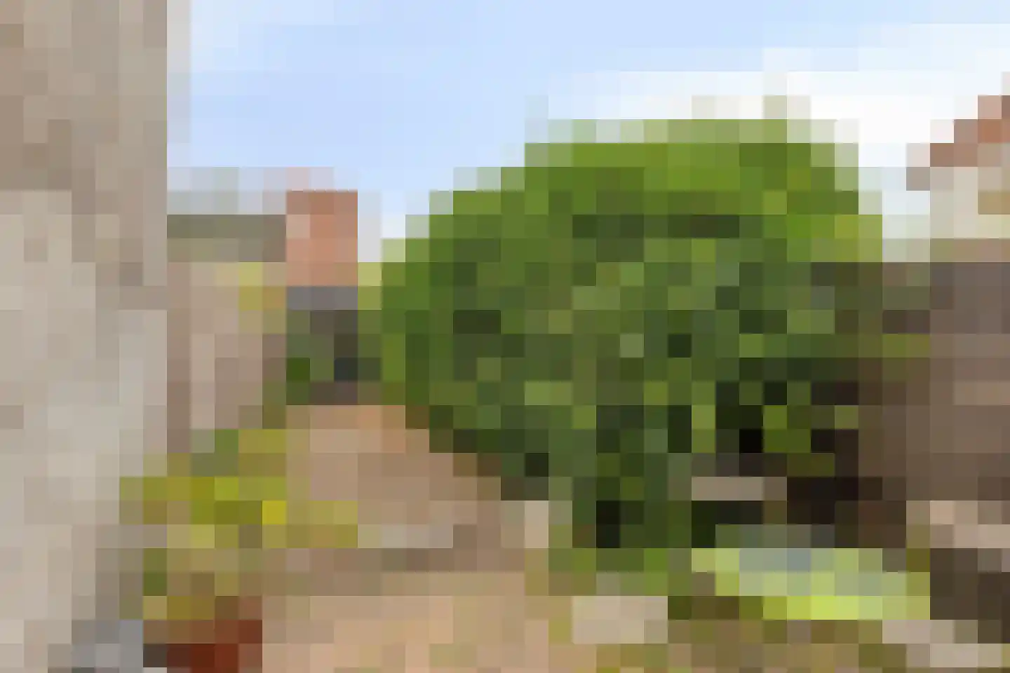 Markt 5 Brouwershaven thumbnail 26