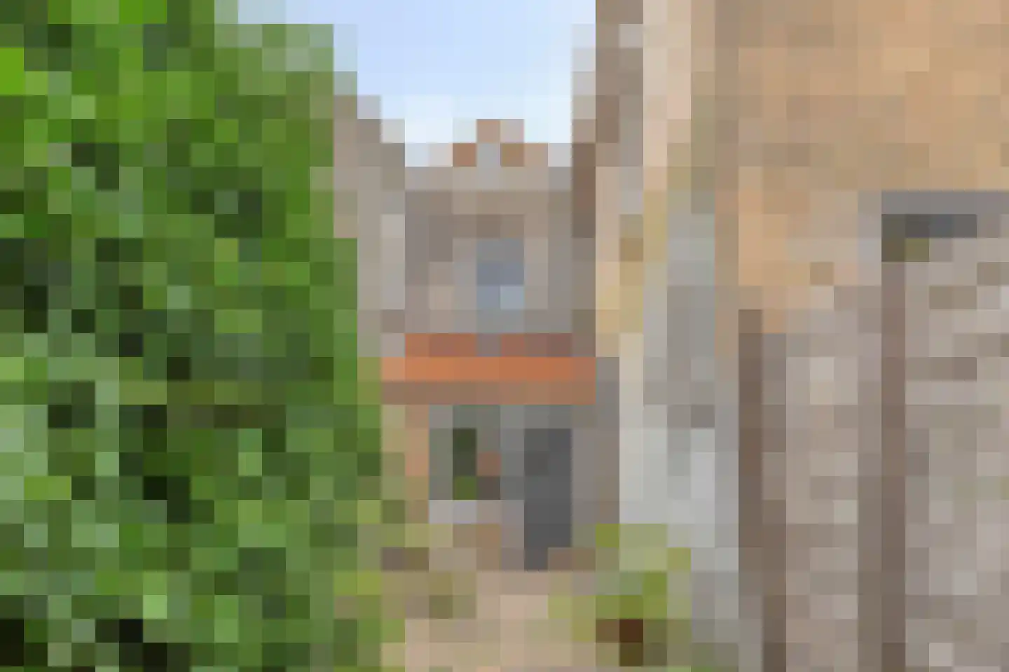Markt 5 Brouwershaven thumbnail 29