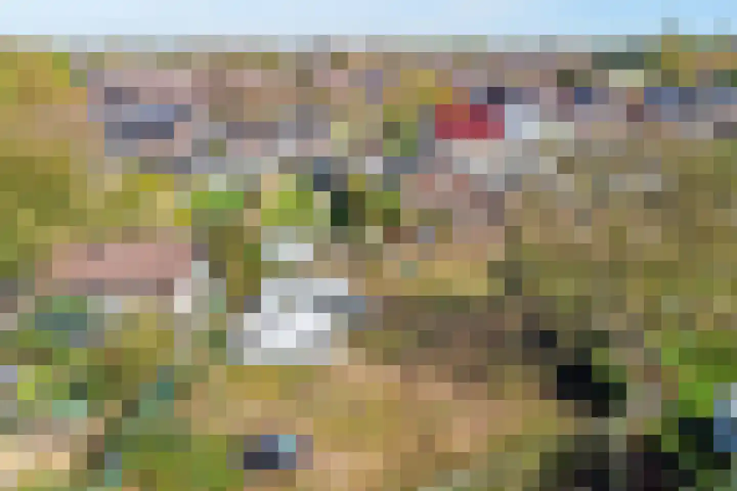 Markt 5 Brunssum thumbnail 54